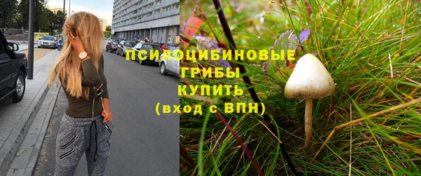 не бодяженный Инсар