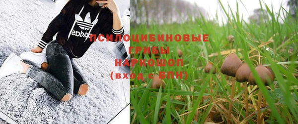 не бодяженный Инсар