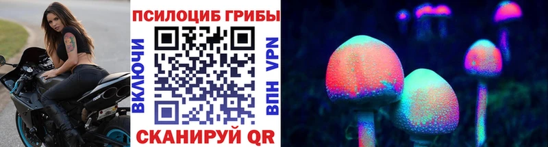 Купить  Мещовск  Псилоцибиновые грибы мицелий 